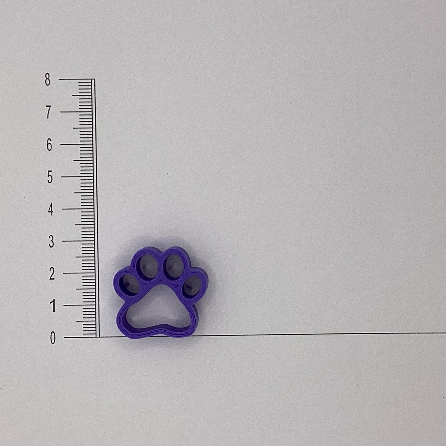Pawprint 01